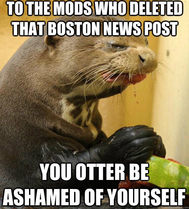 to the mods who deleted that boston news post you otter be ashamed of yourself - to the mods who deleted that boston news post you otter be ashamed of yourself  ornery otter