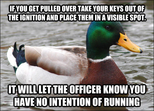 IF YOU GET PULLED OVER TAKE YOUR KEYS OUT OF THE IGNITION AND PLACE THEM IN A VISIBLE SPOT. IT WILL LET THE OFFICER KNOW YOU HAVE NO INTENTION OF RUNNING - IF YOU GET PULLED OVER TAKE YOUR KEYS OUT OF THE IGNITION AND PLACE THEM IN A VISIBLE SPOT. IT WILL LET THE OFFICER KNOW YOU HAVE NO INTENTION OF RUNNING  Actual Advice Mallard