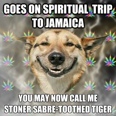 Goes on spiritual  trip to jamaica you may now call me 
stoner sabre-toothed tiger  Stoner Dog