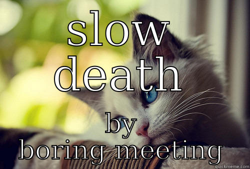 SLOW DEATH BY BORING MEETING First World Problems Cat