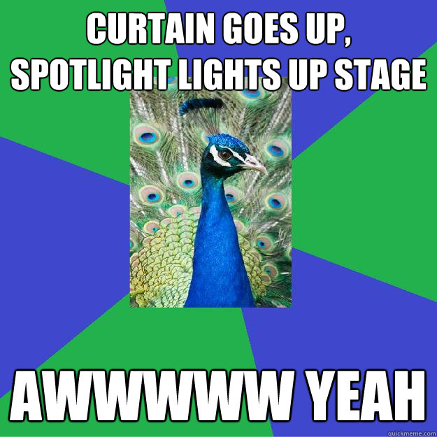 curtain goes up, spotlight lights up stage awwwww yeah  Performing Arts Peacock