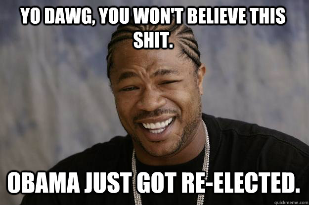 YO DAWG, You won't believe this shit. Obama just got re-elected.  Xzibit meme