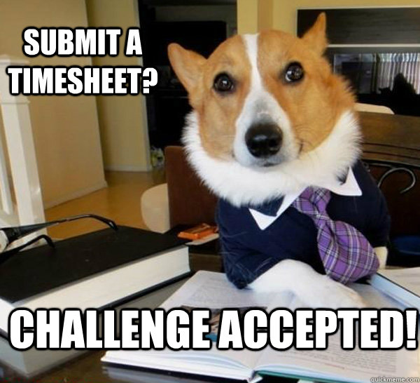 submit a timesheet? challenge accepted!  Lawyer Dog
