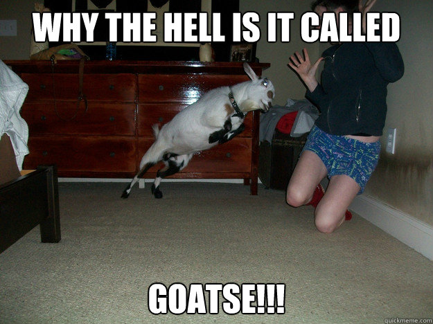 Why the hell is it called Goatse!!! - Why the hell is it called Goatse!!!  Angry goat is angry