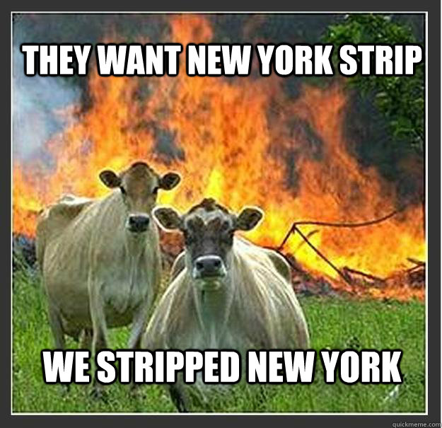 They want new york strip we stripped new york  Evil cows