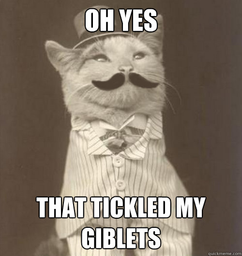 oh yes that tickled my giblets  Original Business Cat