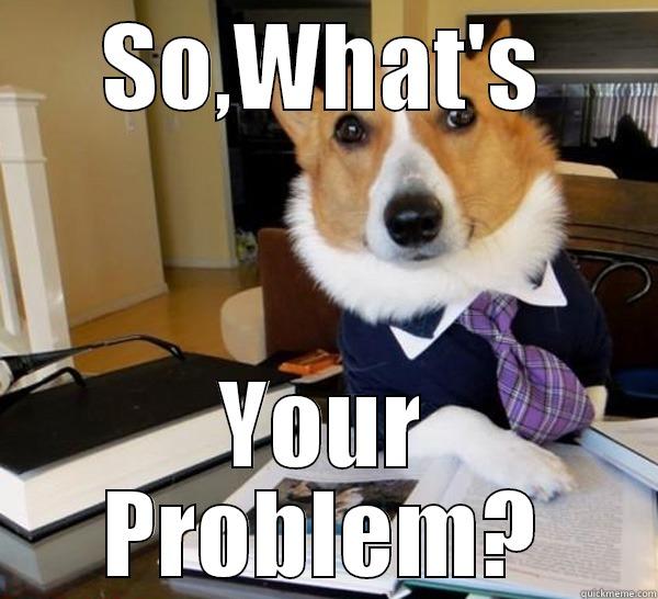 SO,WHAT'S YOUR PROBLEM? Lawyer Dog