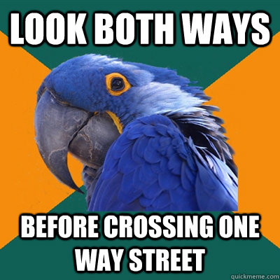 look both ways before crossing one way street  Paranoid Parrot