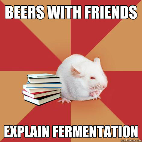 beers with friends Explain fermentation  Science Major Mouse