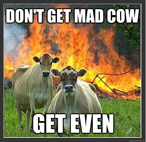 Don't Get Mad Cow Get Even - Don't Get Mad Cow Get Even  Evil cows