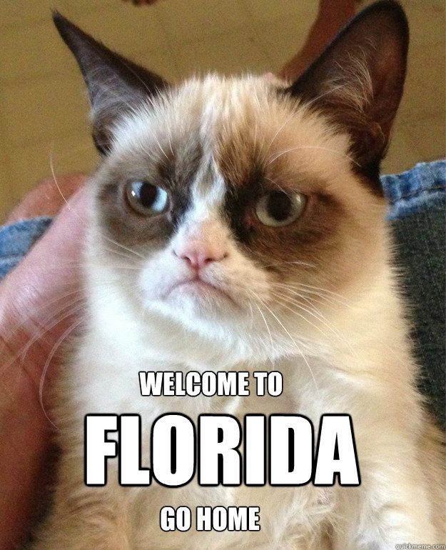 FLORIDA Welcome to Go home  cat had fun once