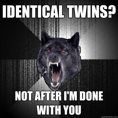 Identical Twins? Not after I'm done with you  Insanity Wolf