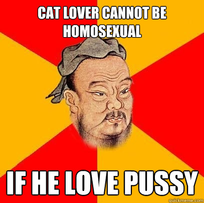 cat lover cannot be homosexual if he love pussy  Confucius says