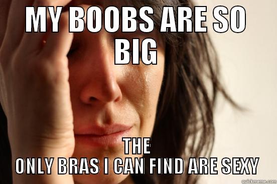MY BOOBS ARE SO BIG THE ONLY BRAS I CAN FIND ARE SEXY First World Problems
