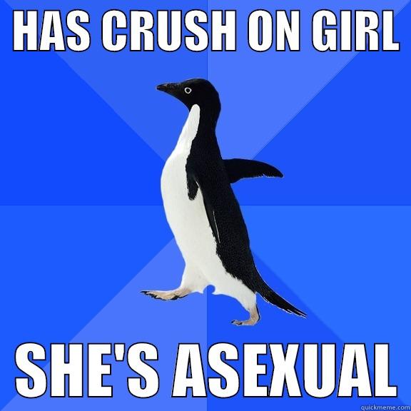  HAS CRUSH ON GIRL    SHE'S ASEXUAL Socially Awkward Penguin