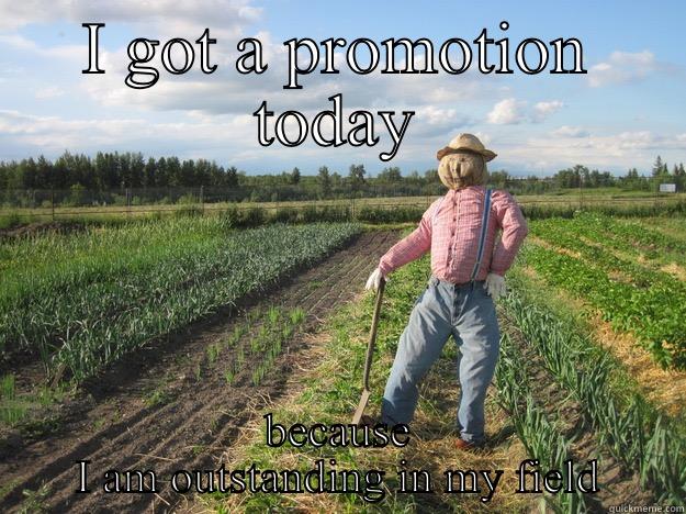 I got a promotion today  - I GOT A PROMOTION TODAY BECAUSE I AM OUTSTANDING IN MY FIELD Scarecrow