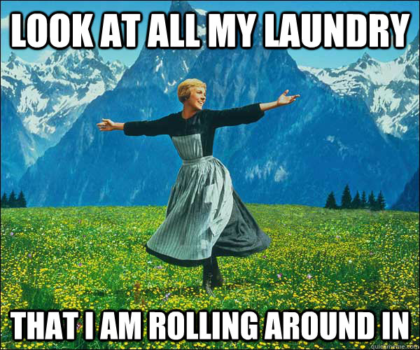 look at all my laundry that I am rolling around in   Look At All The Fucks I Give
