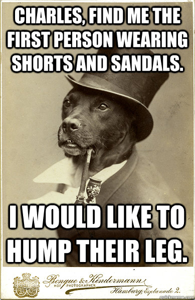 Charles, find me the first person wearing shorts and sandals. I would like to hump their leg. - Charles, find me the first person wearing shorts and sandals. I would like to hump their leg.  Old Money Dog