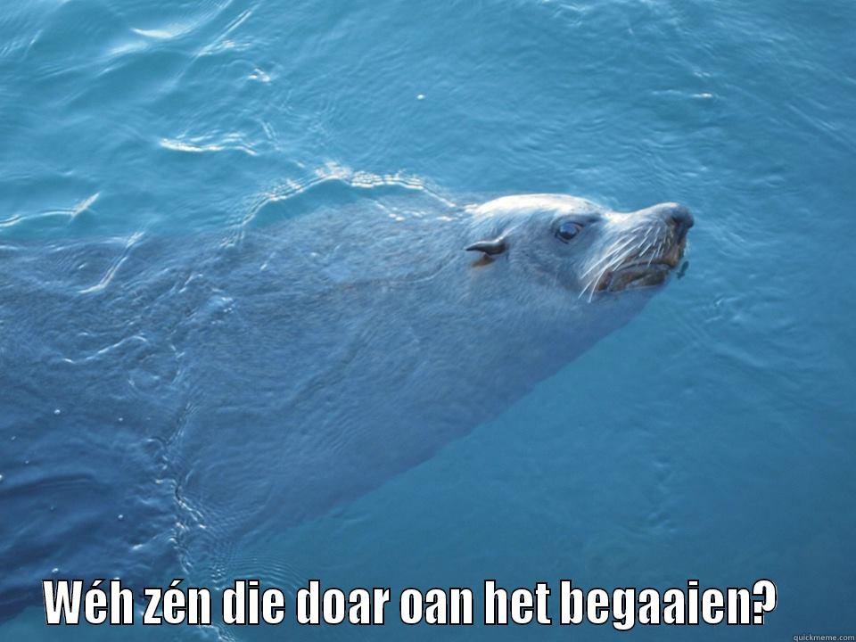  WÉH ZÉN DIE DOAR OAN HET BEGAAIEN?    Misc