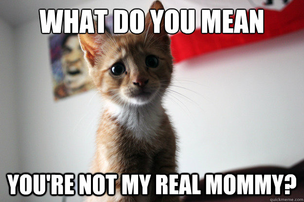what do you mean  you're not my real mommy?  