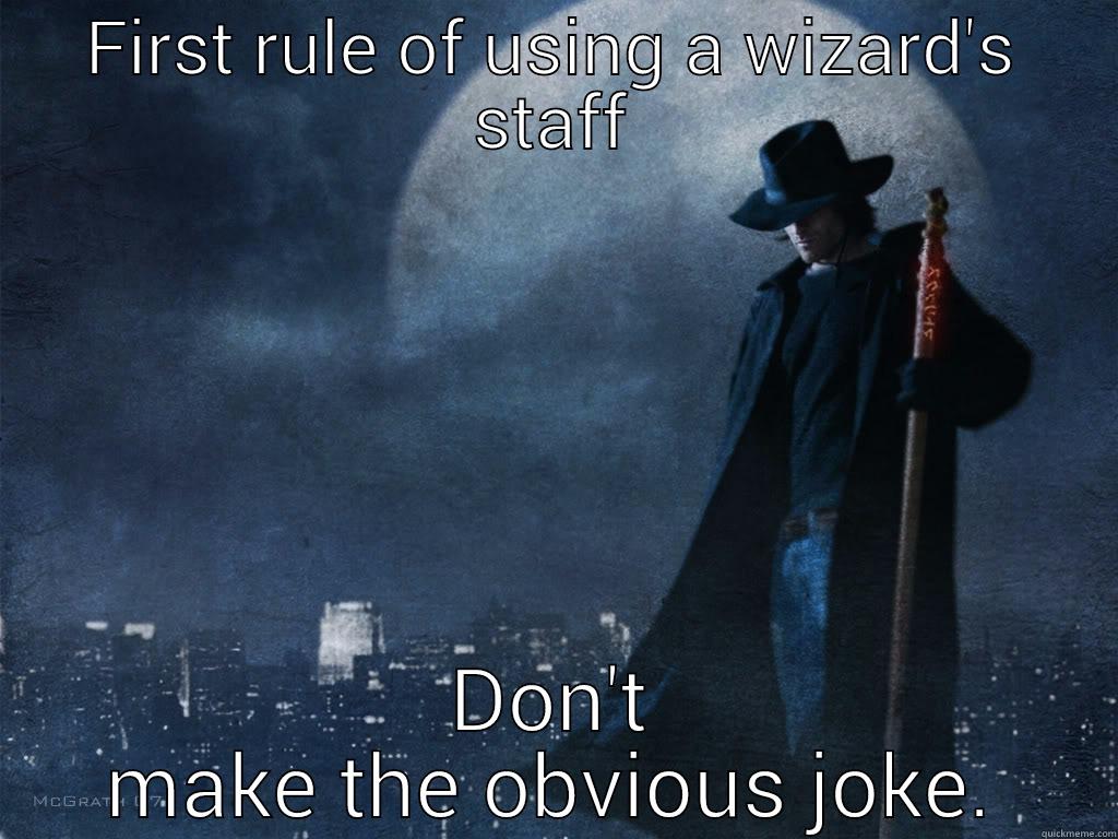 FIRST RULE OF USING A WIZARD'S STAFF DON'T MAKE THE OBVIOUS JOKE. Misc