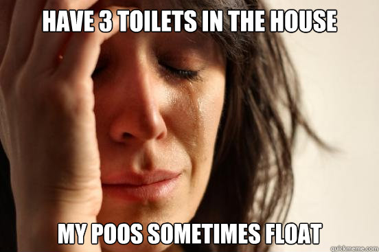 have 3 toilets in the house My poos sometimes float - have 3 toilets in the house My poos sometimes float  First World Problems