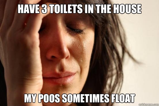 have 3 toilets in the house My poos sometimes float  First World Problems