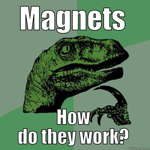 MAGNETS HOW DO THEY WORK? Philosoraptor