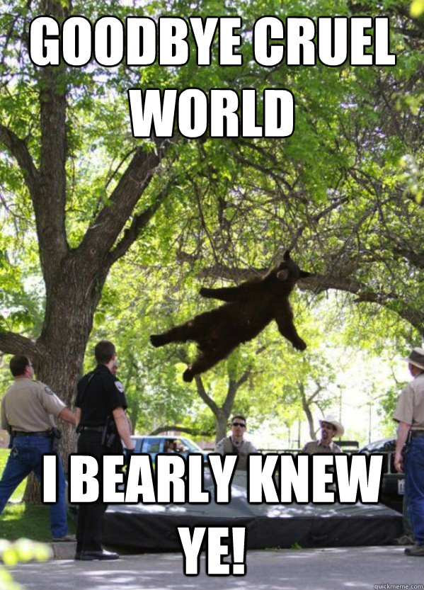 Goodbye Cruel 
WORLD I Bearly Knew Ye!  