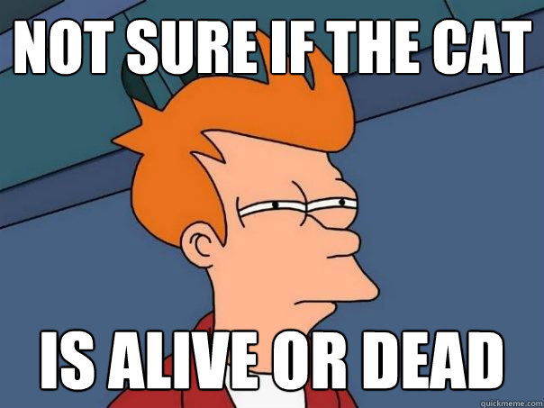 Not sure if the cat Is alive or dead  Futurama Fry