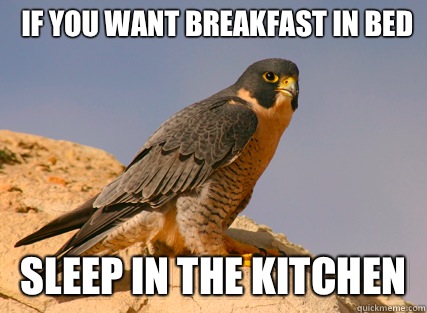If you want breakfast in bed Sleep in the kitchen  