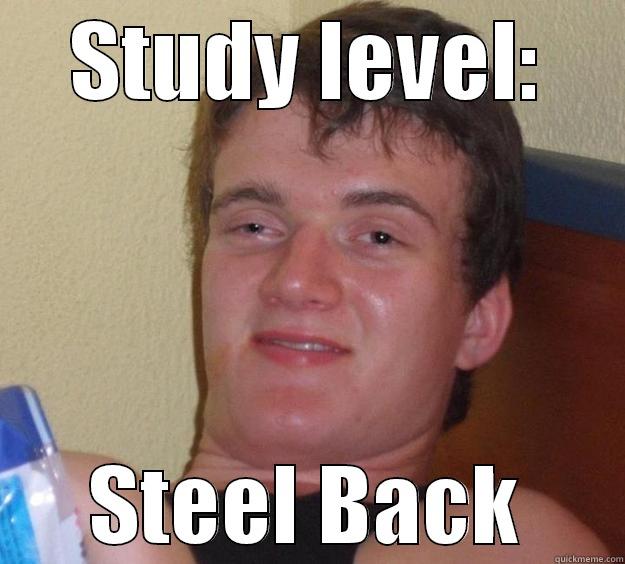 STUDY LEVEL: STEEL BACK 10 Guy