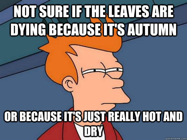 Not sure if the leaves are dying because it's autumn Or because it's just really hot and dry - Not sure if the leaves are dying because it's autumn Or because it's just really hot and dry  Futurama Fry