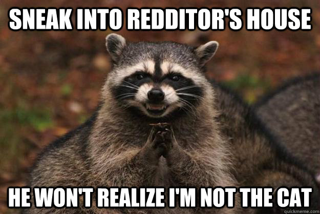 Sneak into redditor's house he won't realize i'm not the cat - Sneak into redditor's house he won't realize i'm not the cat  Evil Plotting Raccoon