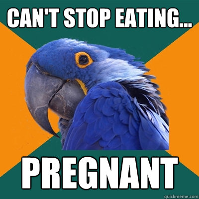 Can't stop eating... Pregnant   Paranoid Parrot
