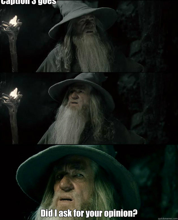  Did I ask for your opinion? Caption 3 goes here  Gandalf und das Spanischstudium