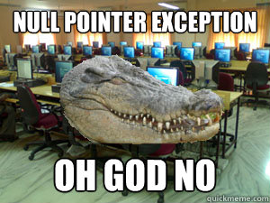 null pointer exception oh god no - null pointer exception oh god no  Computer Science Croc