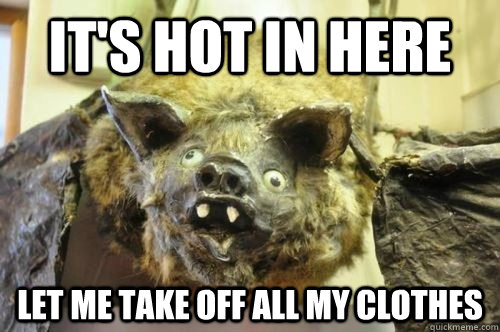 it's hot in here let me take off all my clothes - it's hot in here let me take off all my clothes  Bad Logic Rodent