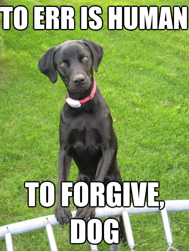 To Err is Human To Forgive, Dog  