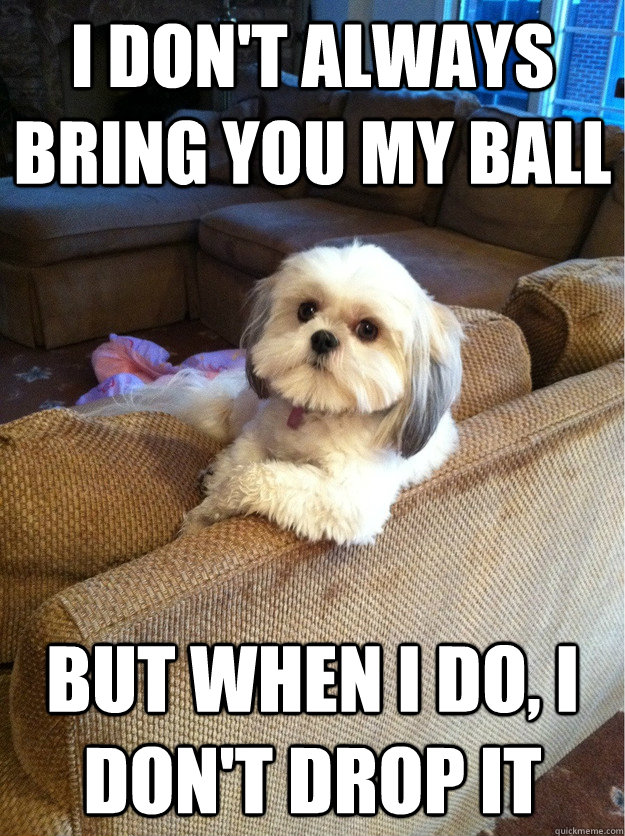 I don't always bring you my ball but when i do, i don't drop it  