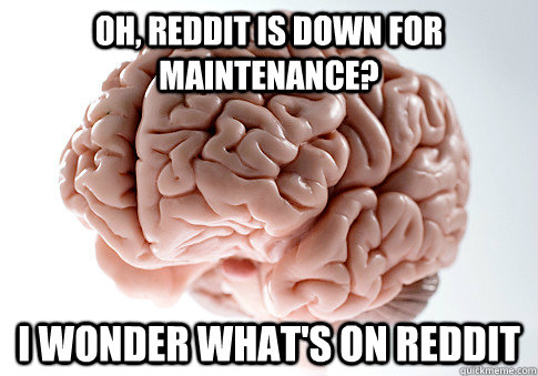 Oh, Reddit is down for maintenance? I wonder what's on Reddit  Scumbag Brain