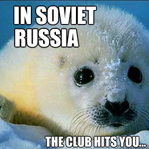 In Soviet      Russia       The club hits you... - In Soviet      Russia       The club hits you...  Clubbing Harp Seals