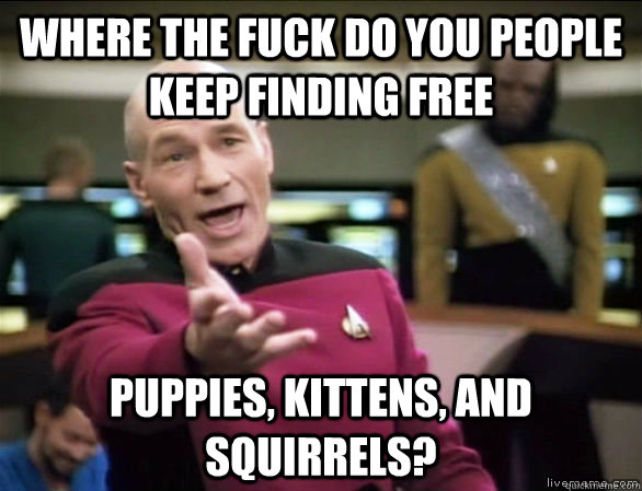 where the fuck do you people keep finding free Puppies, kittens, and squirrels?  Annoyed Picard HD