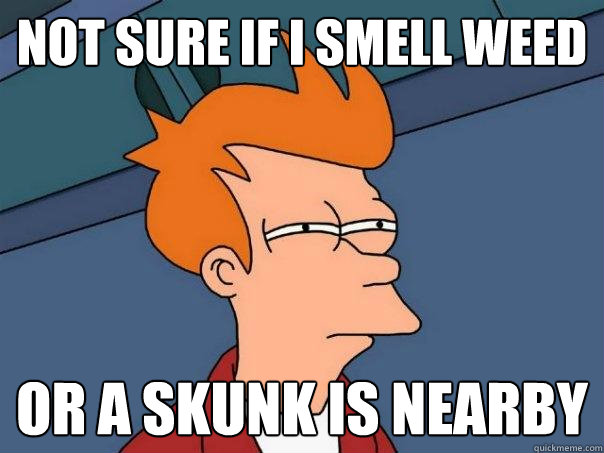 Not sure if I smell weed Or a skunk is nearby  Futurama Fry