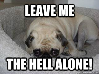 Leave me the hell alone! - Leave me the hell alone!  Grumpy Pug