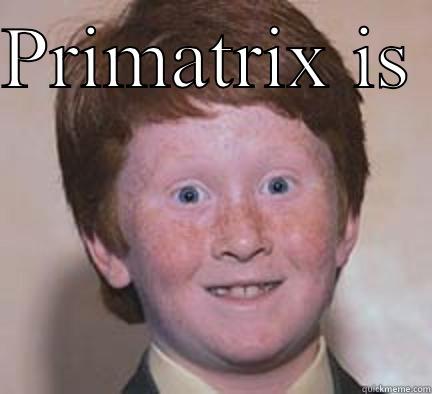 PRIMATRIX IS  GRRRREEEEAAAT! Over Confident Ginger
