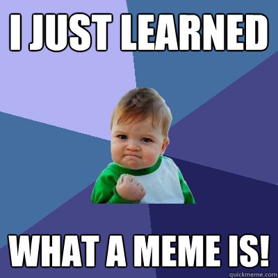 I just learned what a meme is!  Success Kid
