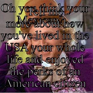 OH YOU THINK YOUR MEXICAN?.., TELL ME MORE ABOUT HOW YOU'VE LIVED IN THE USA YOUR WHOLE LIFE AND ENJOYED THE PERKS OF AN AMERICAN CITIZEN Condescending Wonka