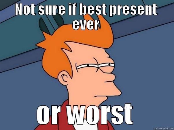 NOT SURE IF BEST PRESENT EVER OR WORST Futurama Fry