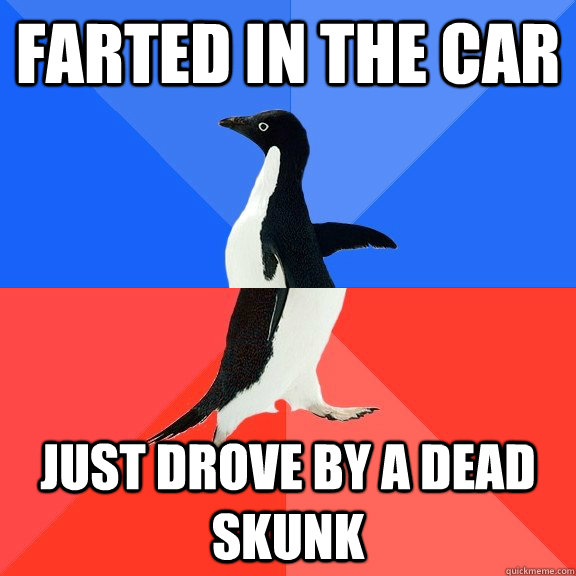 Farted In the car Just drove by a dead skunk  Socially Awkward Awesome Penguin